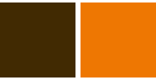 茶色×オレンジ