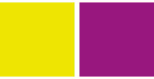 紫×黄色